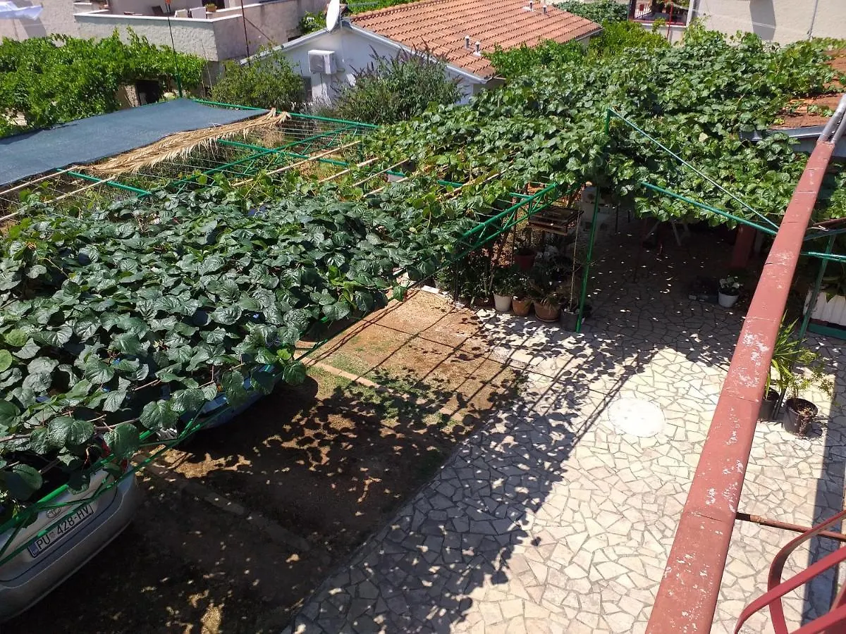 Levak Apartments - Apt. 1 Pjescana Uvala Croatia